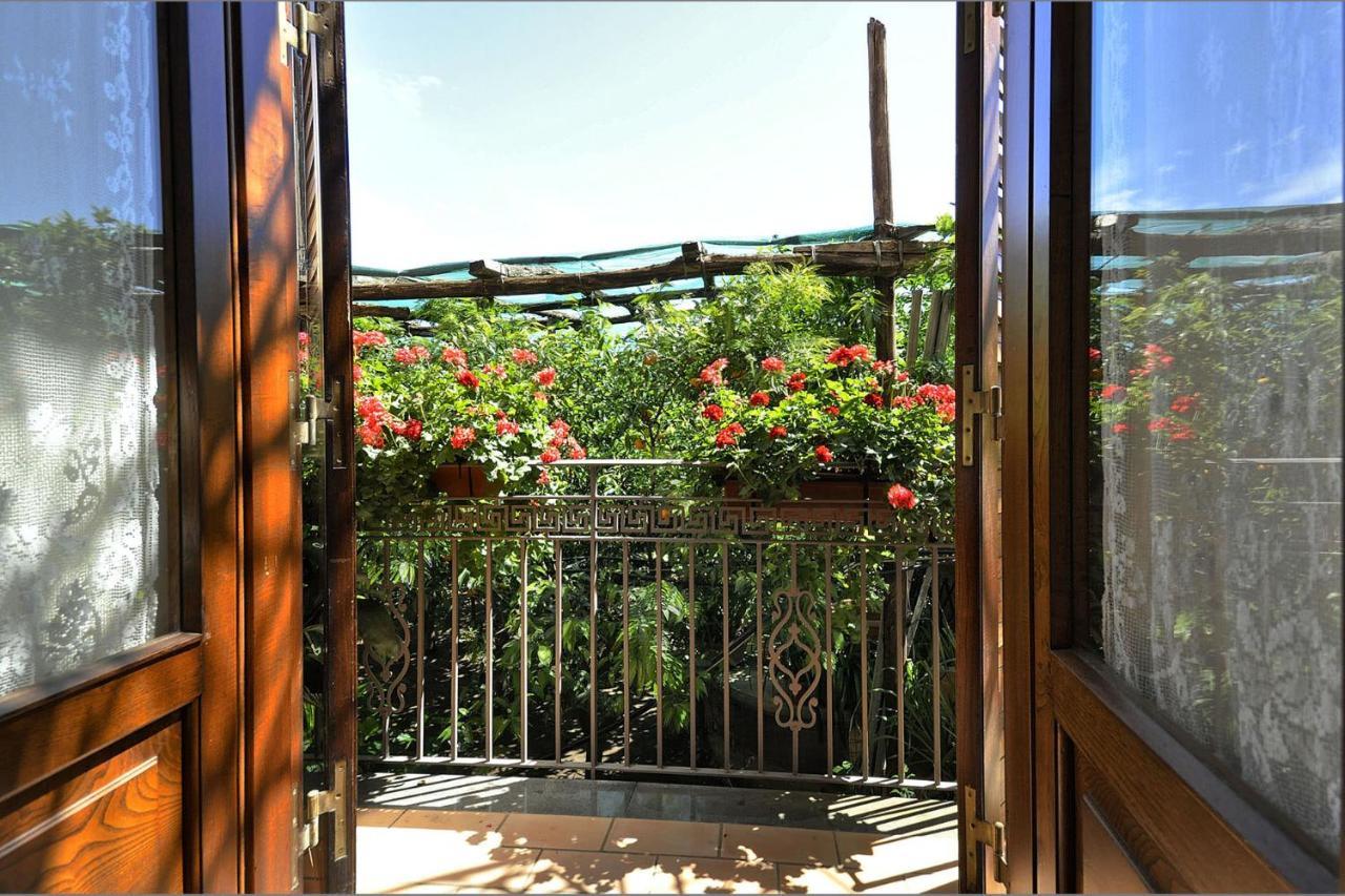Anthea Sorrento Bed & Breakfast エクステリア 写真